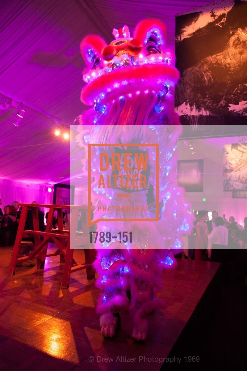 Performance, Asian Art Museum 28 Chinese Opening Night Gala, Asian Art Museum. 200 Larkin St, June 2nd, 2015,Drew Altizer, Drew Altizer Photography, full-service agency, private events, San Francisco photographer, photographer california