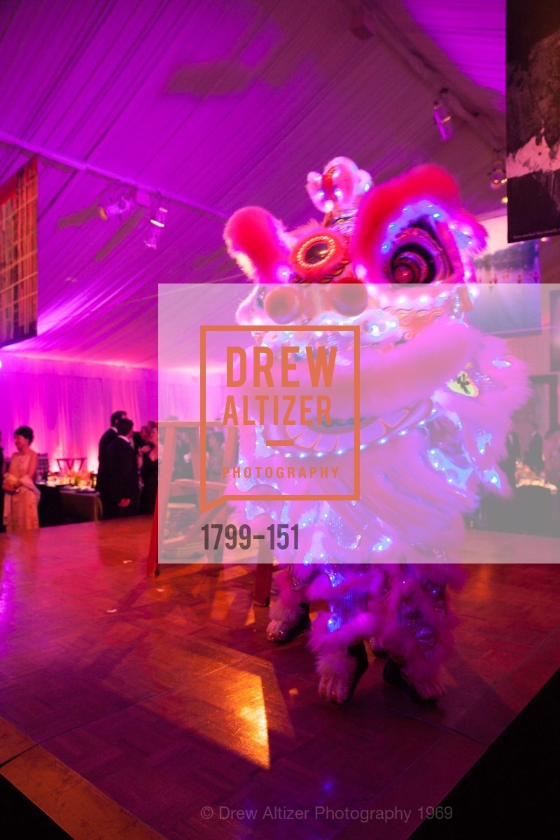 Performance, Asian Art Museum 28 Chinese Opening Night Gala, Asian Art Museum. 200 Larkin St, June 2nd, 2015,Drew Altizer, Drew Altizer Photography, full-service event agency, private events, San Francisco photographer, photographer California