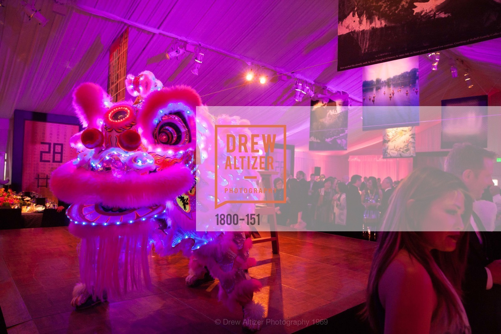 Performance, Asian Art Museum 28 Chinese Opening Night Gala, Asian Art Museum. 200 Larkin St, June 2nd, 2015,Drew Altizer, Drew Altizer Photography, full-service agency, private events, San Francisco photographer, photographer california