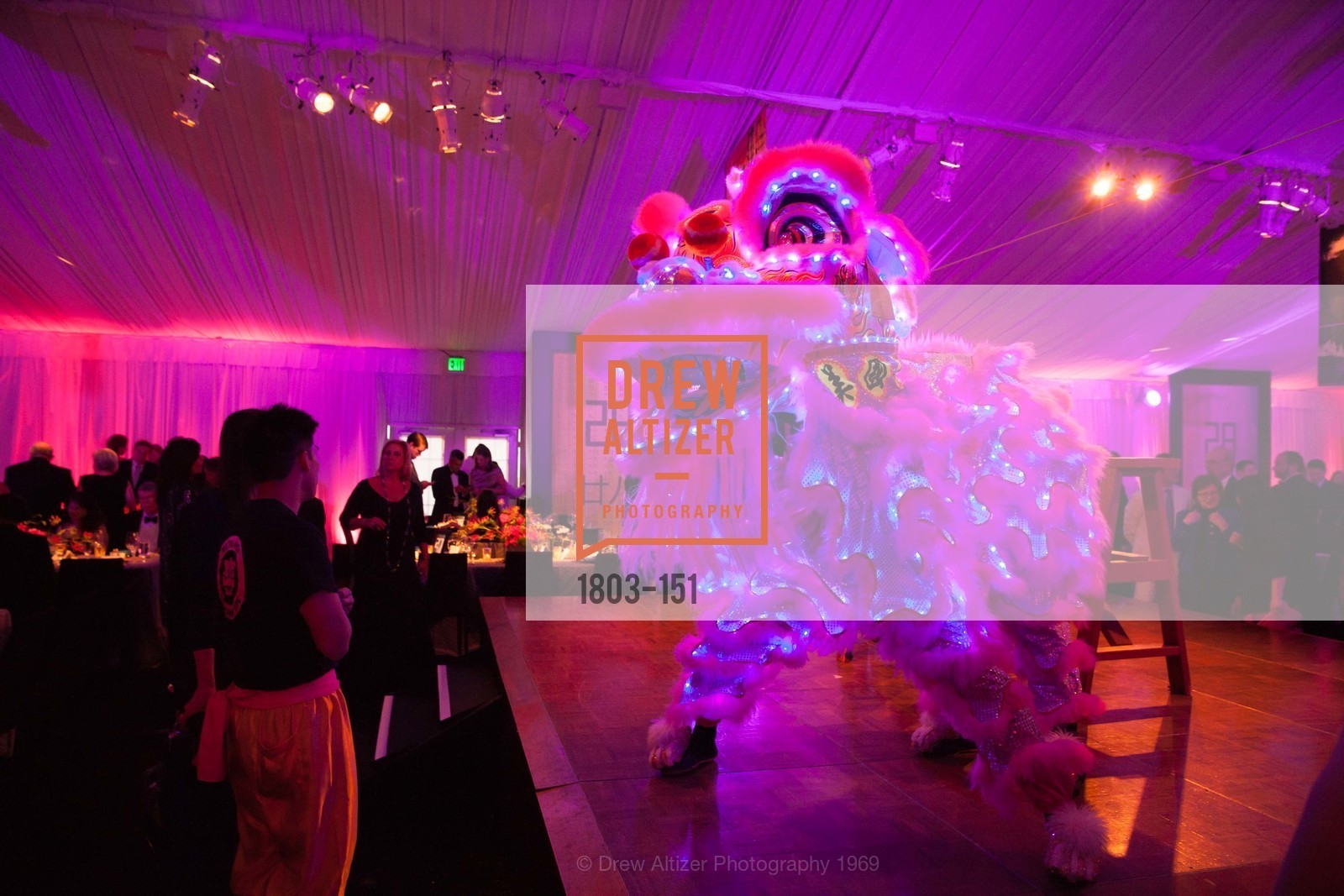 Performance, Asian Art Museum 28 Chinese Opening Night Gala, Asian Art Museum. 200 Larkin St, June 2nd, 2015,Drew Altizer, Drew Altizer Photography, full-service agency, private events, San Francisco photographer, photographer california