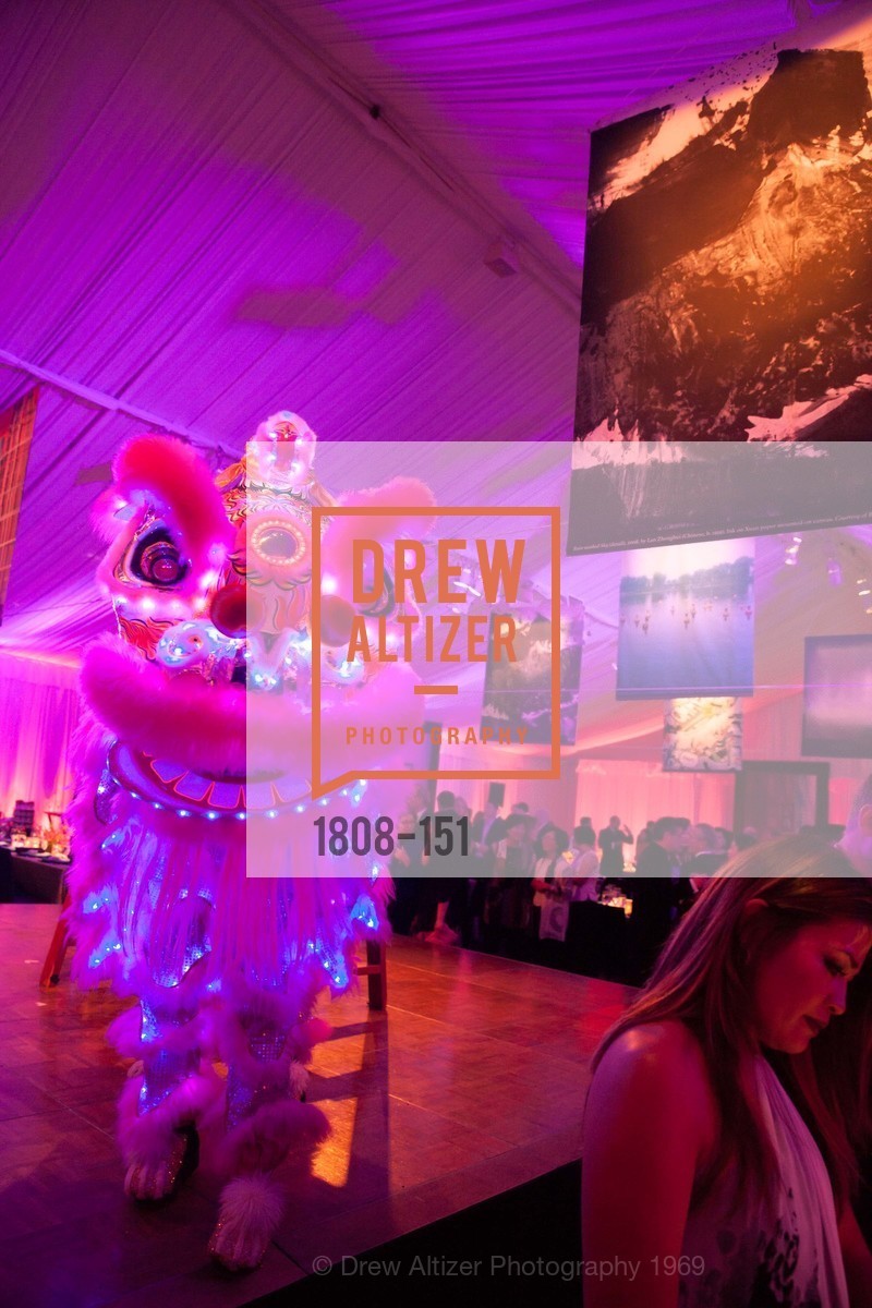 Performance, Asian Art Museum 28 Chinese Opening Night Gala, Asian Art Museum. 200 Larkin St, June 2nd, 2015,Drew Altizer, Drew Altizer Photography, full-service agency, private events, San Francisco photographer, photographer california