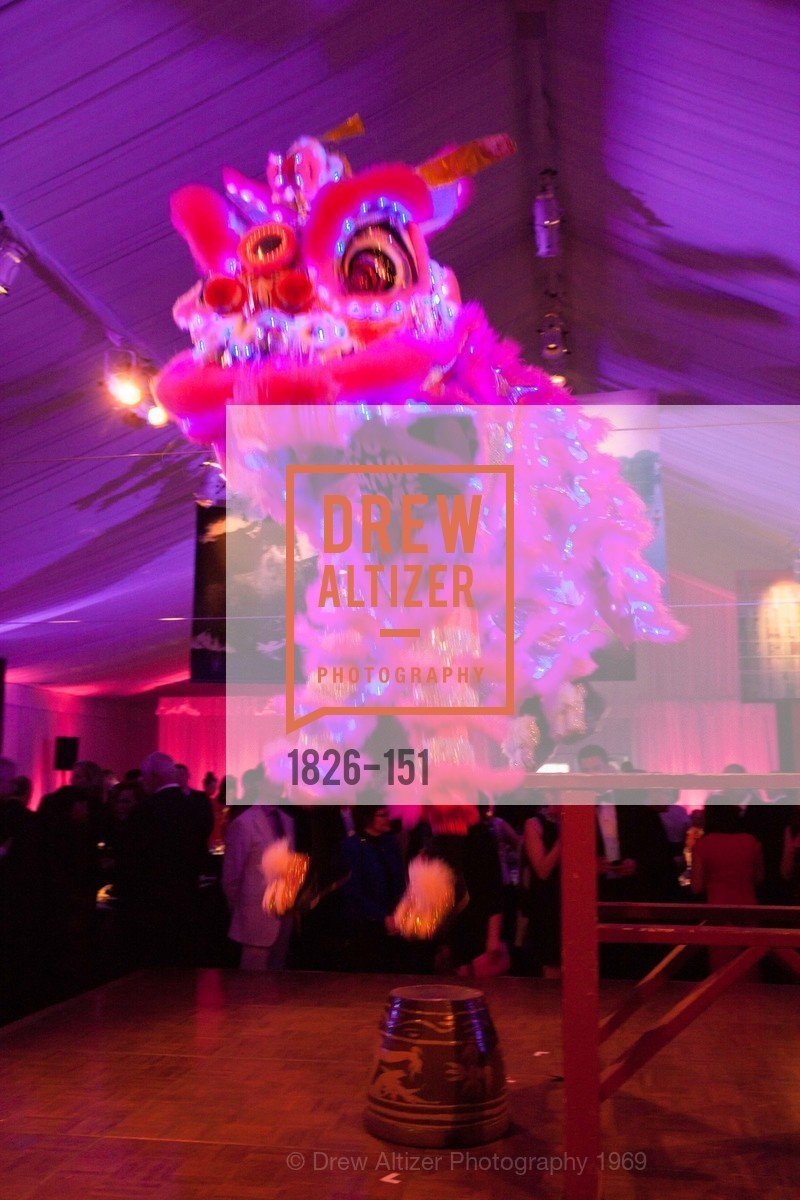 Performance, Asian Art Museum 28 Chinese Opening Night Gala, Asian Art Museum. 200 Larkin St, June 2nd, 2015,Drew Altizer, Drew Altizer Photography, full-service agency, private events, San Francisco photographer, photographer california