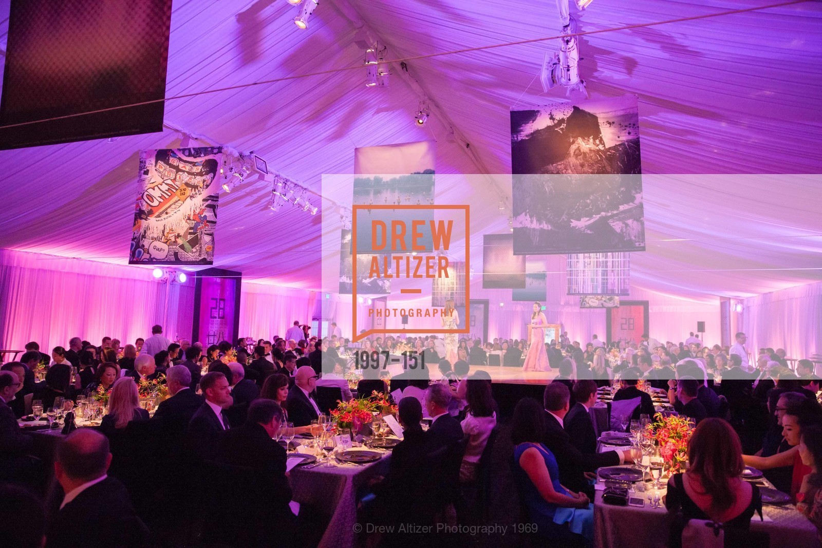 Atmosphere, Asian Art Museum 28 Chinese Opening Night Gala, Asian Art Museum. 200 Larkin St, June 2nd, 2015,Drew Altizer, Drew Altizer Photography, full-service agency, private events, San Francisco photographer, photographer california