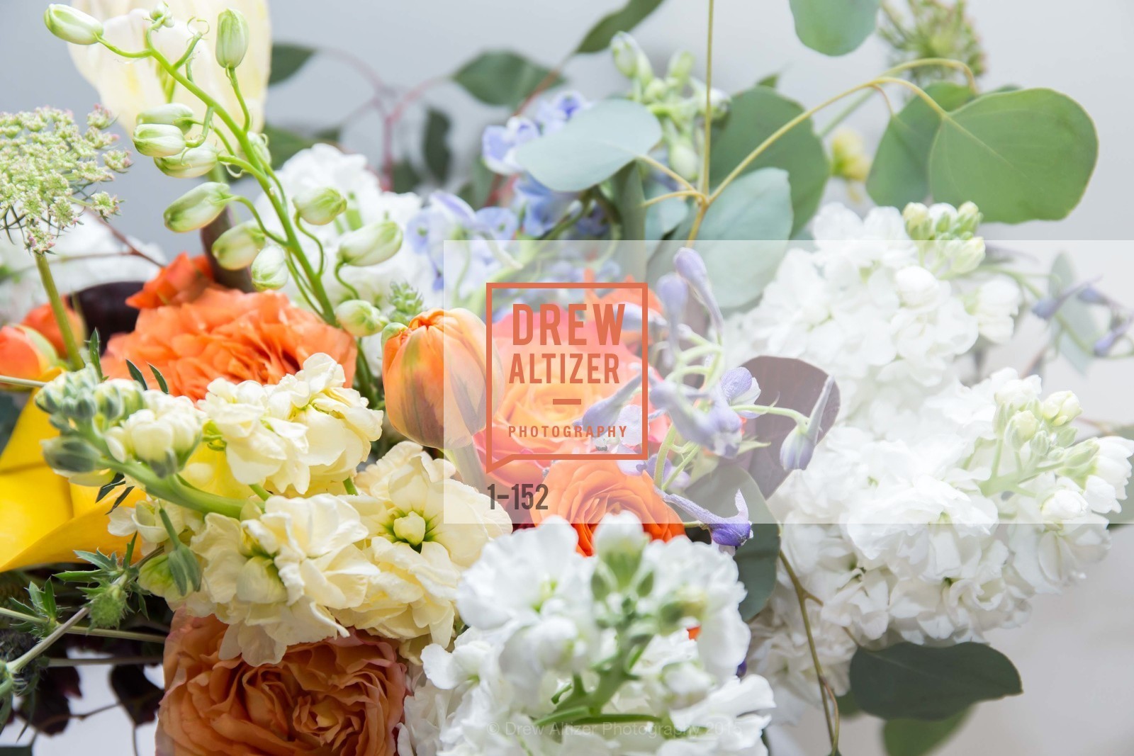 Atmosphere, Headlands Center for the Arts Benefit Auction, Fort Mason Festival, Pavilon, June 2nd, 2015,Drew Altizer, Drew Altizer Photography, full-service agency, private events, San Francisco photographer, photographer california