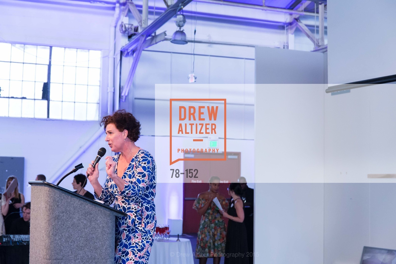 Top picks, Headlands Center for the Arts Benefit Auction, June 2nd, 2015, Photo,Drew Altizer, Drew Altizer Photography, full-service agency, private events, San Francisco photographer, photographer california