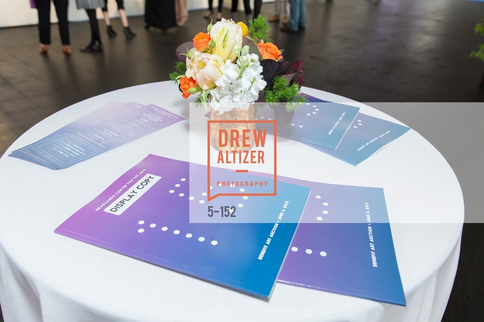 Atmosphere, Headlands Center for the Arts Benefit Auction, Fort Mason Festival, Pavilon, June 2nd, 2015,Drew Altizer, Drew Altizer Photography, full-service agency, private events, San Francisco photographer, photographer california