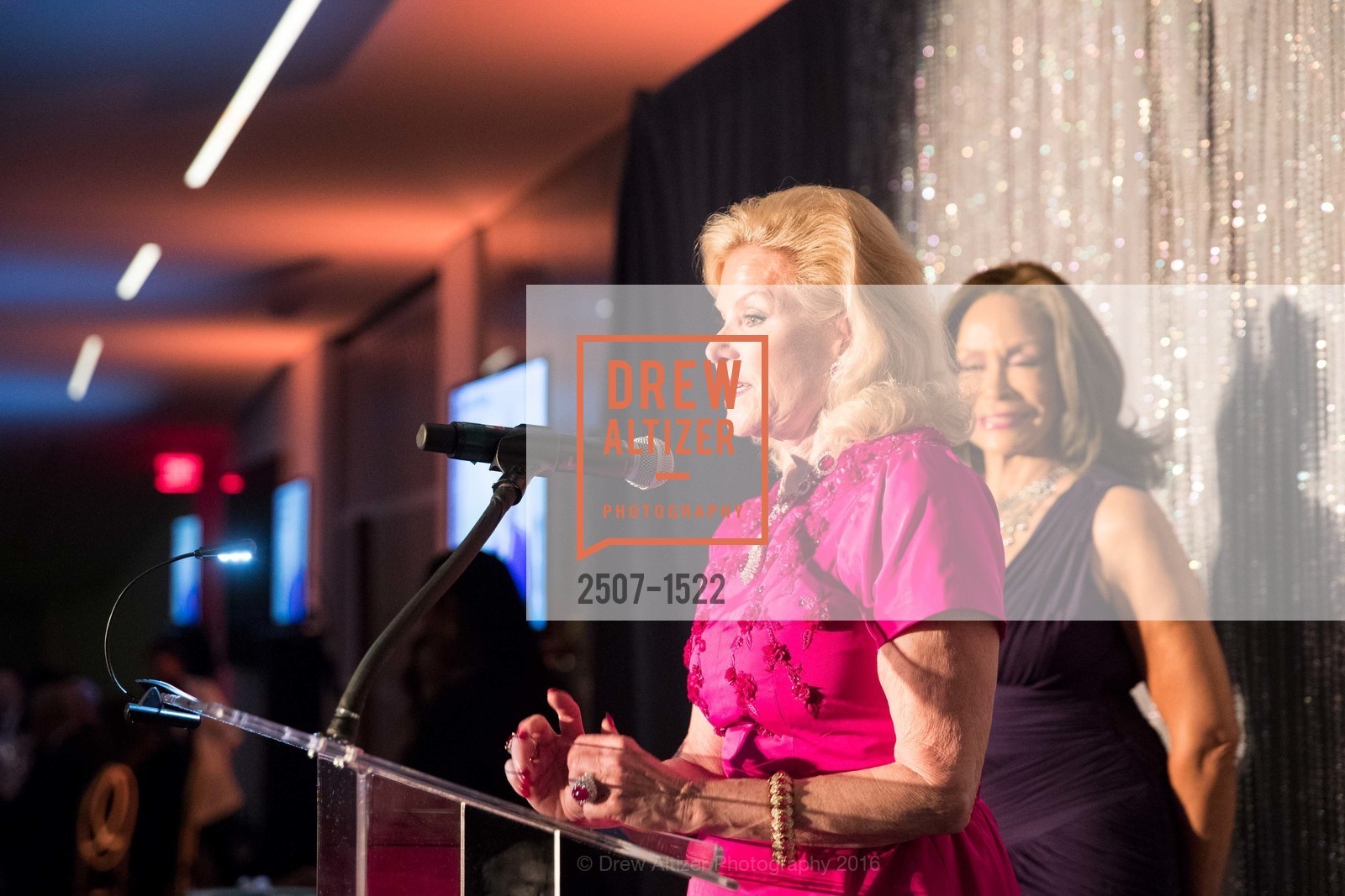 Dede Wilsey, 2016 MoAD GALA, SF MOMA. 151 Third Street, October 22nd, 2016, Photo #2507-1522 Dede Wilsey, Photo #2507-1522