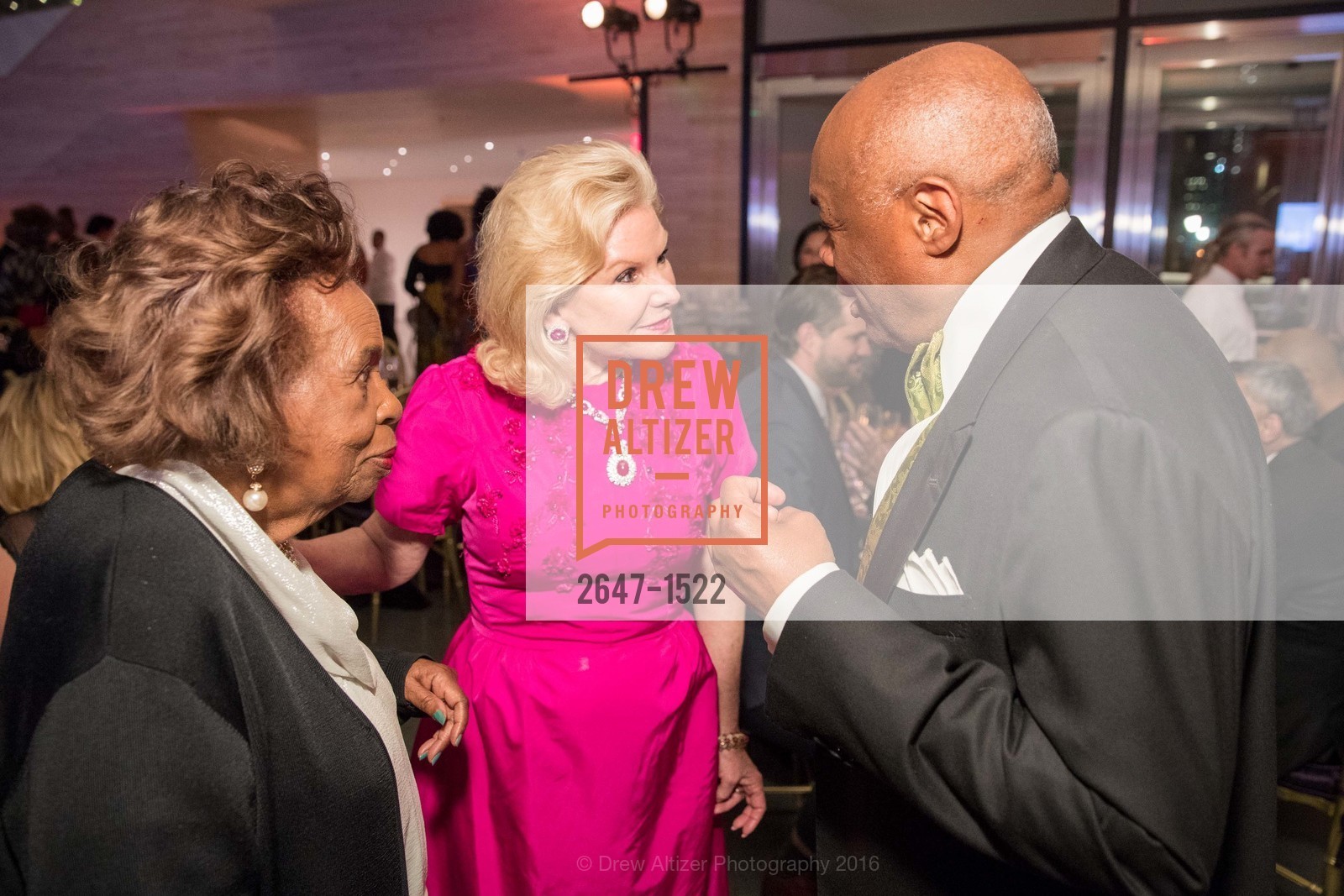 Dede Wilsey, 2016 MoAD GALA, SF MOMA. 151 Third Street, October 22nd, 2016, Photo #2647-1522 Dede Wilsey, Photo #2647-1522