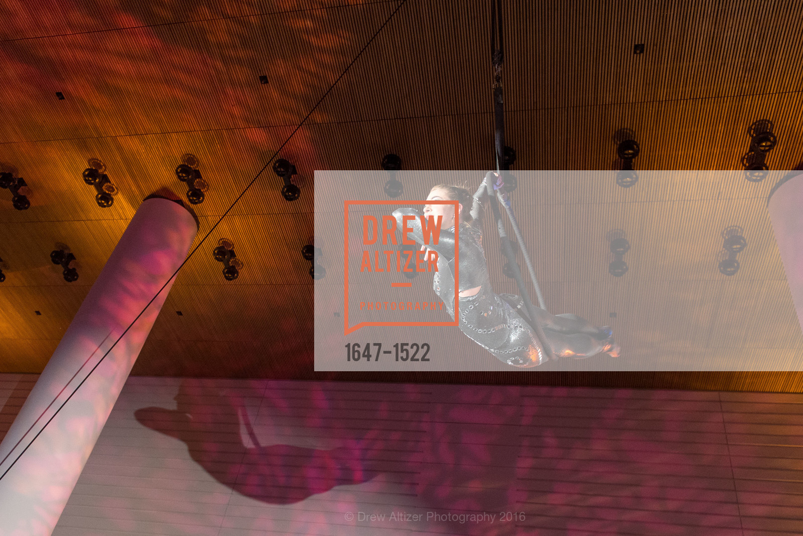 Performance, 2016 MoAD GALA, SF MOMA. 151 Third Street, October 22nd, 2016, Photo #1647-1522 Performance, Photo #1647-1522