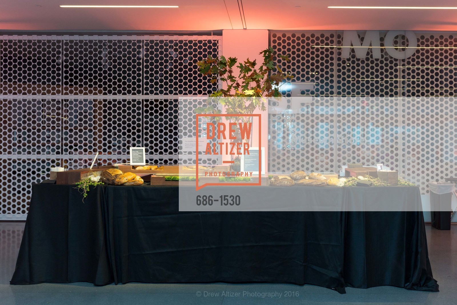 Atmosphere, SFMOMA Curators’ Circle/Director’s Circle Reception for Bruce Conner: It’s All True, SFMOMA. 2525 Van Ness St, October 26th, 2016, Photo #686-1530 Atmosphere, Photo #686-1530