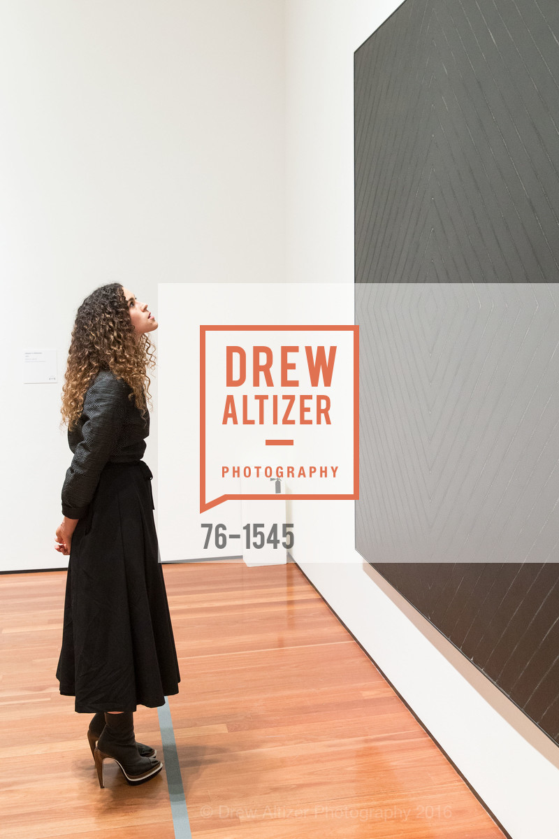 Atmosphere, Frank Stella and Danny Lyon Donor Reception at the de Young, de Young. 2525 Van Ness St, November 3rd, 2016, Photo #76-1545 Atmosphere, Photo #76-1545