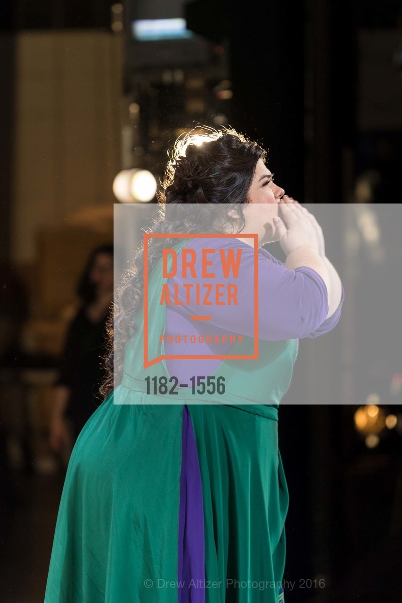 Verdi's Aida: New production premiere, SF Opera. 301 Van Ness Ave, November 5th, 2016, Photo #1182-1556 Photo #1182-1556