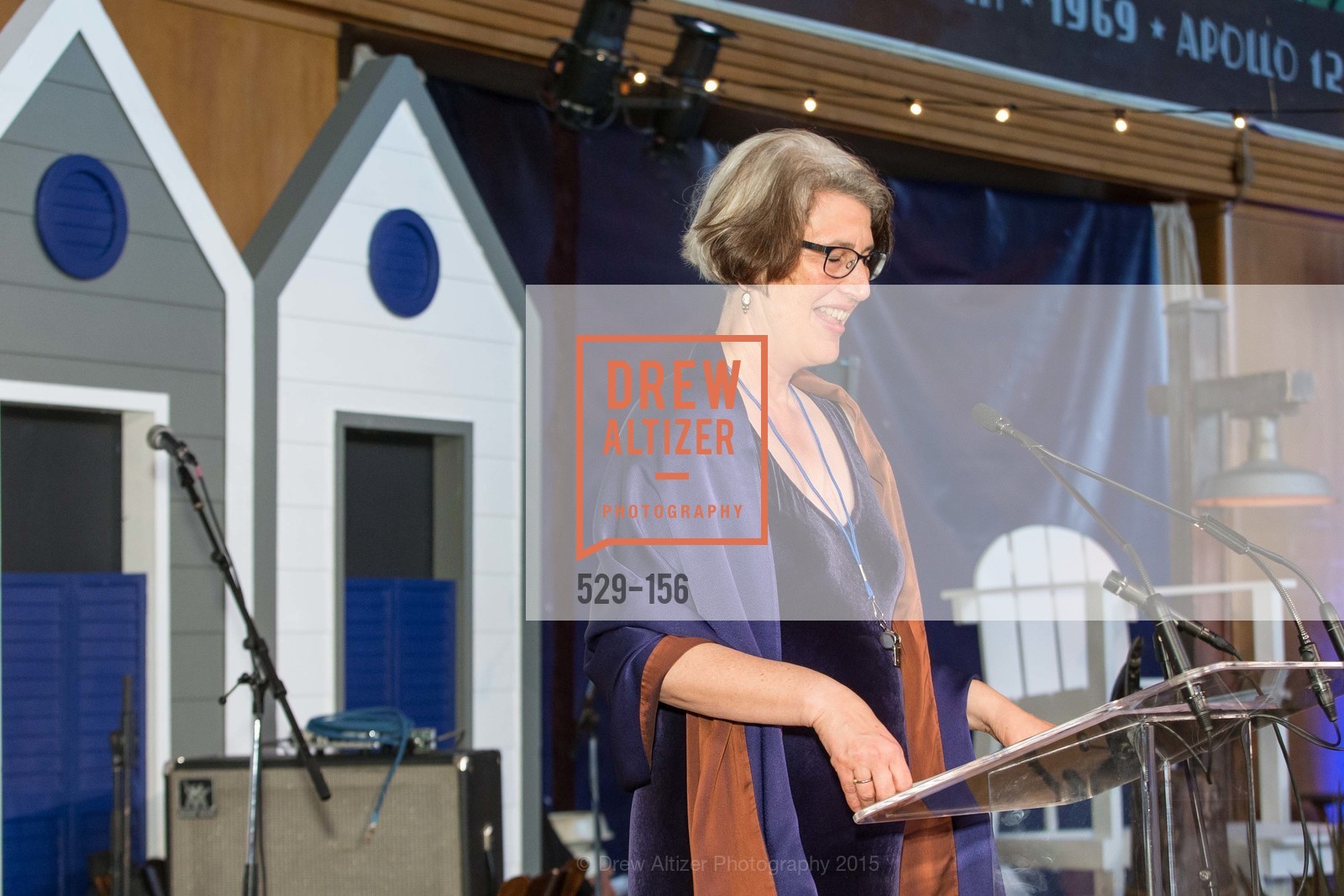 Elizabeth Goldstein, California State Parks Foundation's GOLDEN POPPY AWARDS, Treasure Island Building One. 1 Avenue of the Palms, June 5th, 2015
