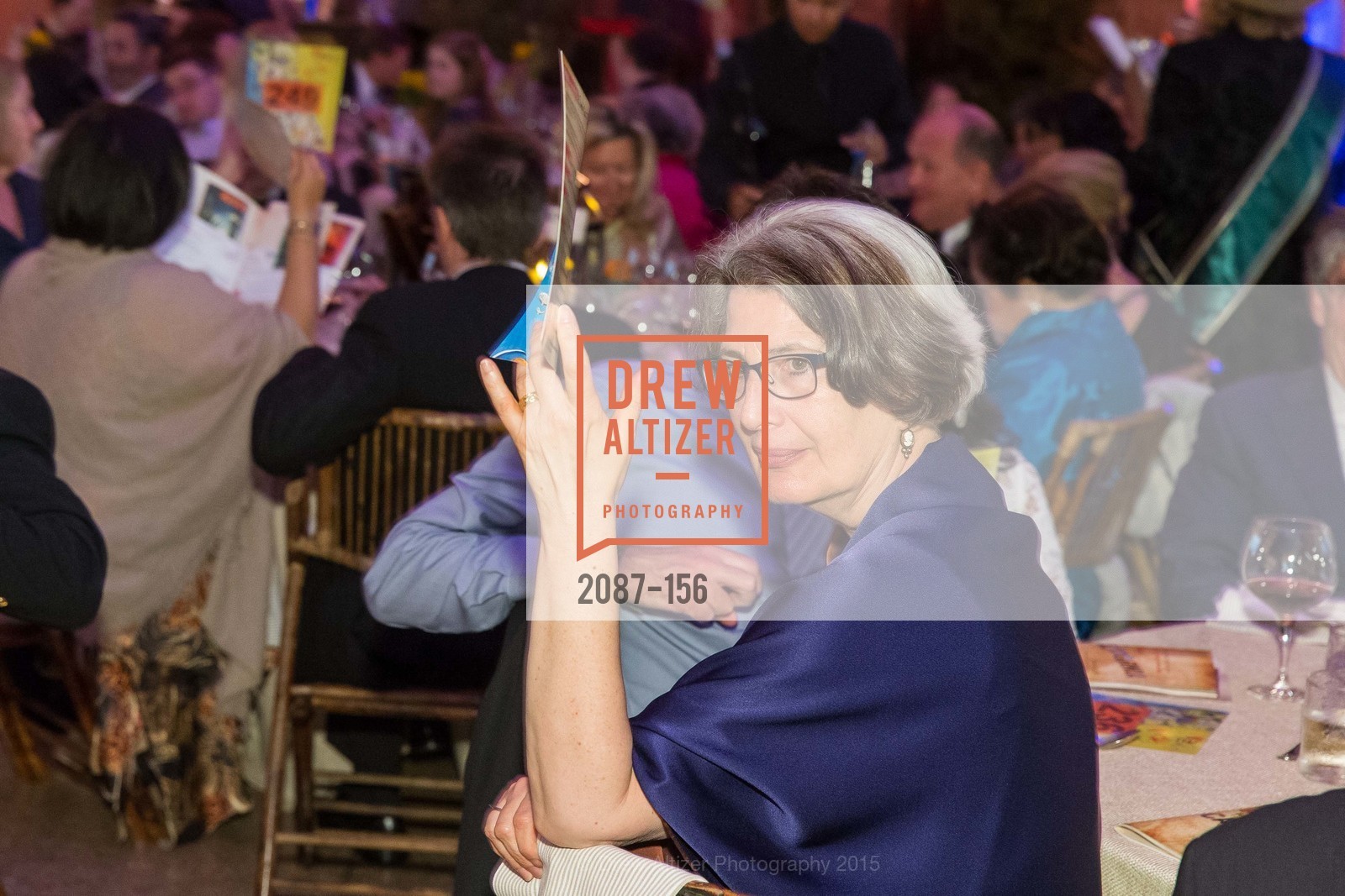 Elizabeth Goldstein, California State Parks Foundation's GOLDEN POPPY AWARDS, Treasure Island Building One. 1 Avenue of the Palms, June 5th, 2015,Drew Altizer, Drew Altizer Photography, full-service agency, private events, San Francisco photographer, photographer california