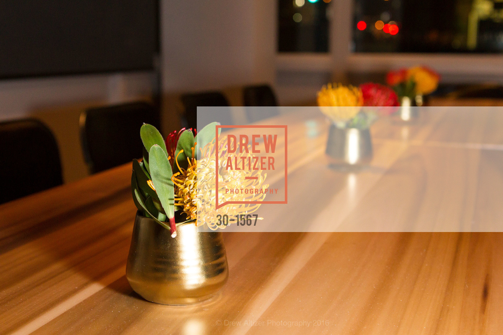 Atmosphere, August 1 Five - Menu Highlights, Cocktails, Wine, August 1 Five. 524 Van Ness Avenue, November 9th, 2016, Photo #30-1567 Atmosphere, Photo #30-1567