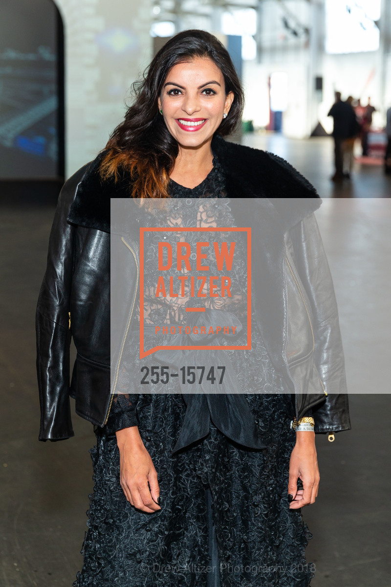 Sonia Maria Edwards, Headlands Art Auction for Benefitting Headlands Center for the Arts 2018, Festival Pavilion, Fort Mason Center for Arts and Culture Landmark Building. C, 2 Marina Blvd, June 6th, 2018, Photo #255-15747 Sonia Maria Edwards, Photo #255-15747