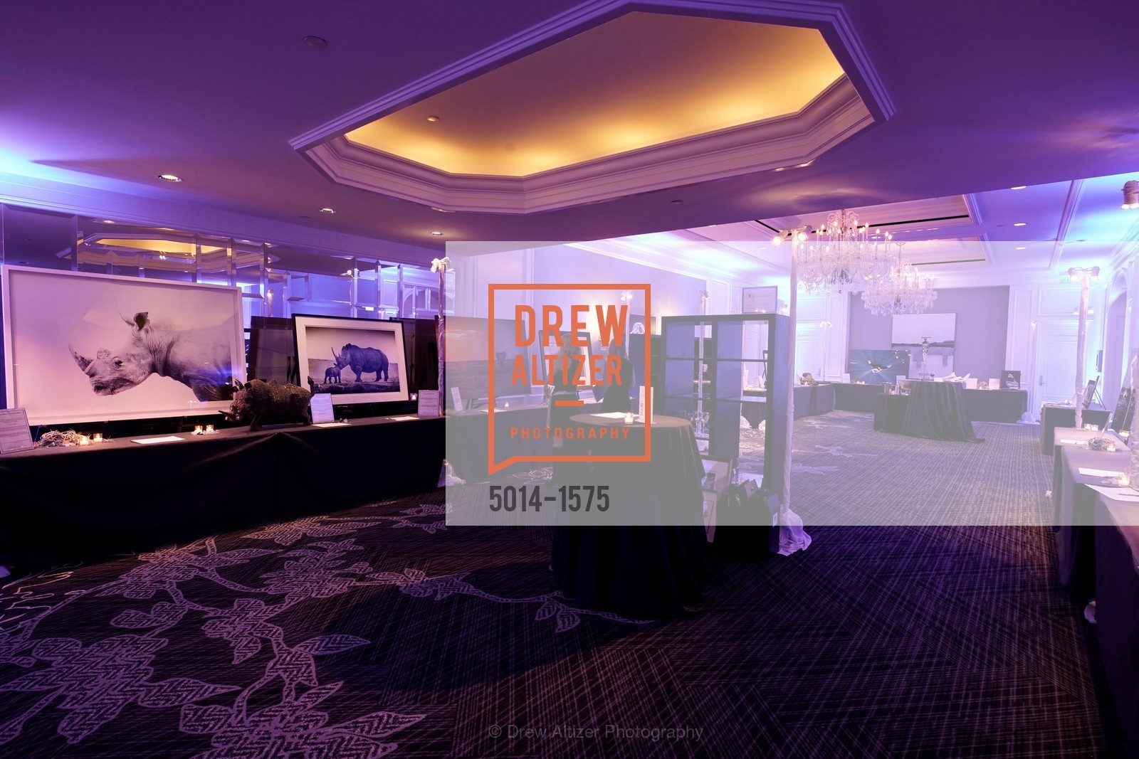 WildAid's "An Evening Under the Sea" Gala, The Ritz Carlton, Photo #5014-1575 Photo #5014-1575