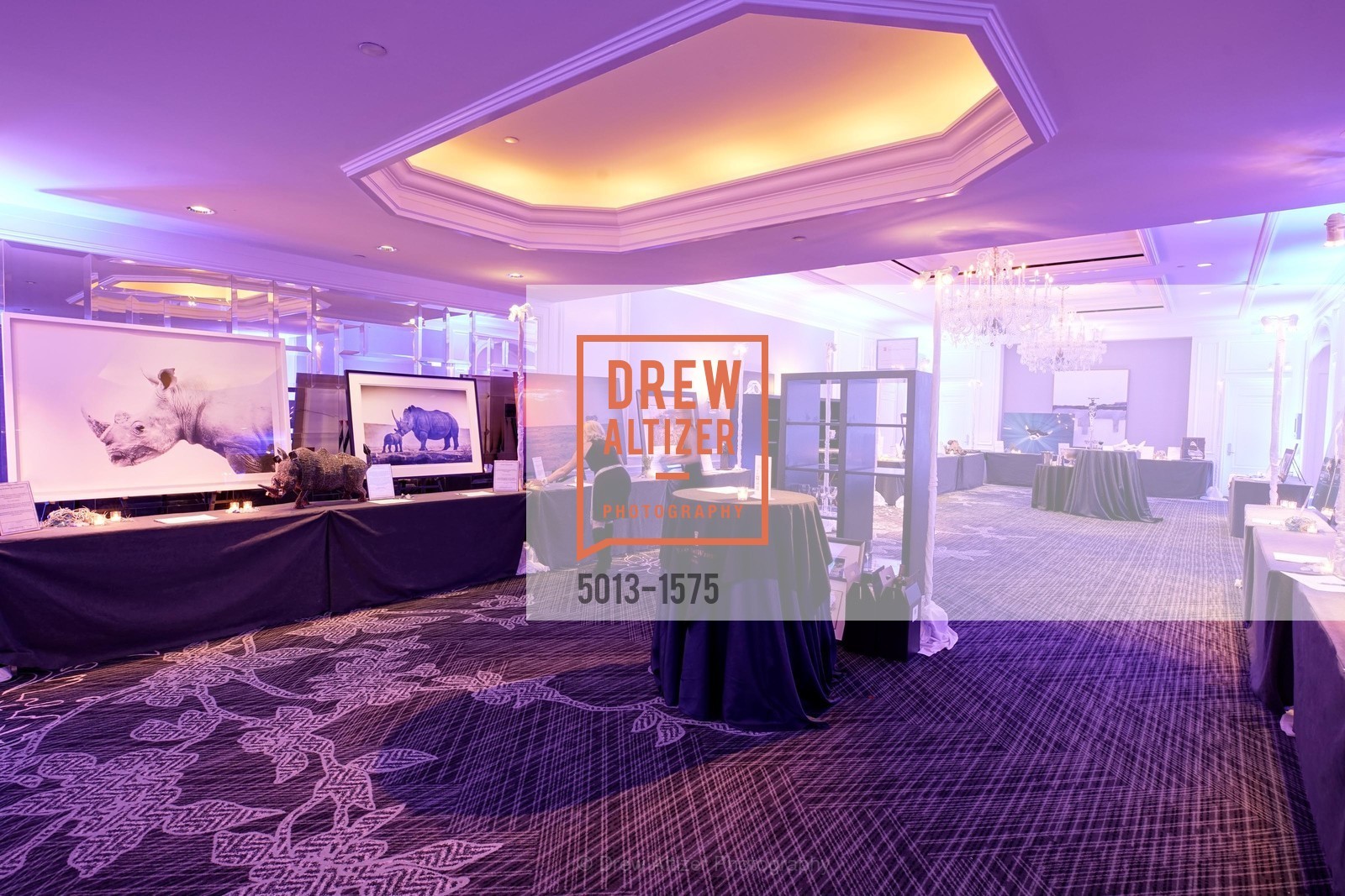 WildAid's "An Evening Under the Sea" Gala, The Ritz Carlton, Photo #5013-1575 Photo #5013-1575