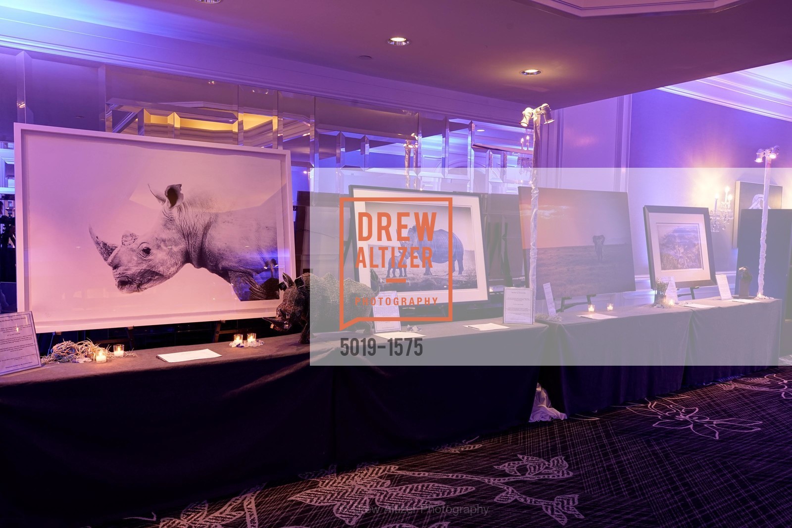 WildAid's "An Evening Under the Sea" Gala, The Ritz Carlton, Photo #5019-1575 Photo #5019-1575