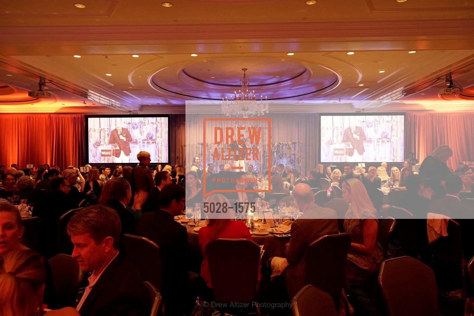 WildAid's "An Evening Under the Sea" Gala, The Ritz Carlton, Photo #5028-1575 Photo #5028-1575