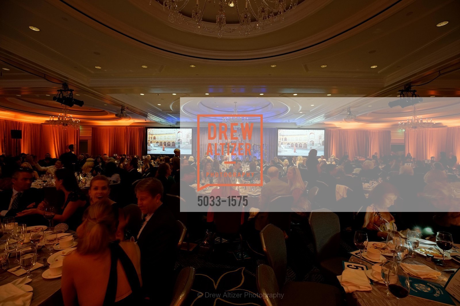 WildAid's "An Evening Under the Sea" Gala, The Ritz Carlton, Photo #5033-1575 Photo #5033-1575