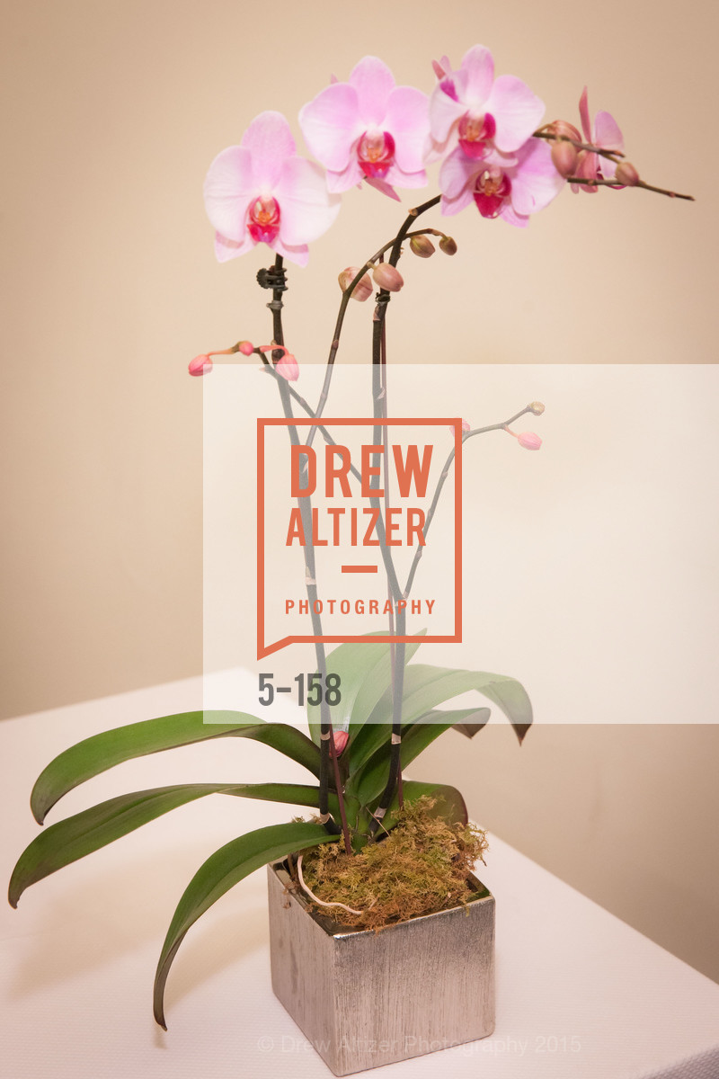 Atmosphere, Metropolitan Club Hosts Centennial Tea, Metropolitan Club. 640 Sutter Street, June 8th, 2015,Drew Altizer, Drew Altizer Photography, full-service agency, private events, San Francisco photographer, photographer california