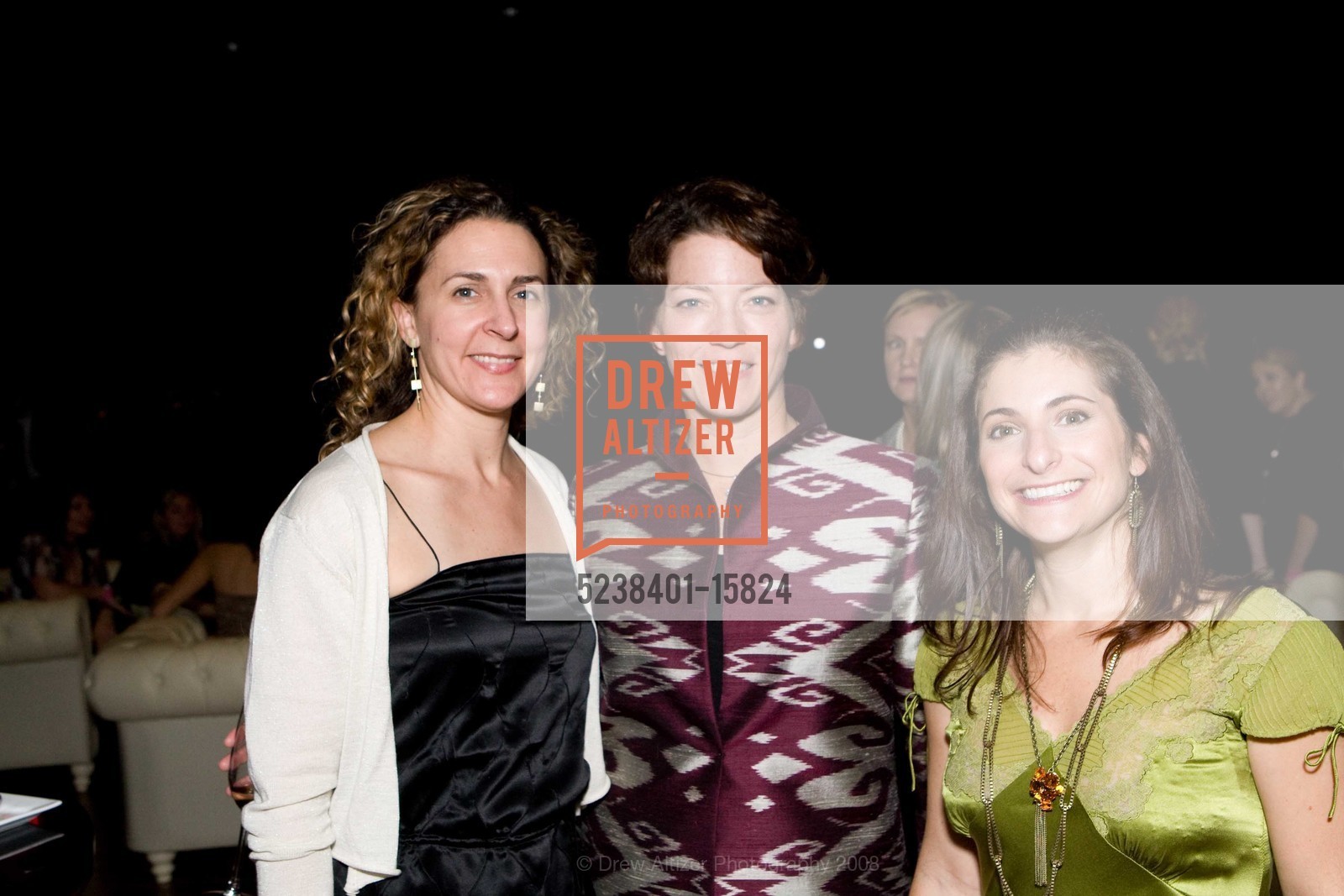 Amelia Steight, Sally Bradley, Stephanie Marcon, ARTPOINT Hosts Party for Yves St. Laurent Exhibit, US, November 14th, 2008, Photo #5238401-15824 Amelia Steight, Sally Bradley, Stephanie Marcon, Photo #5238401-15824