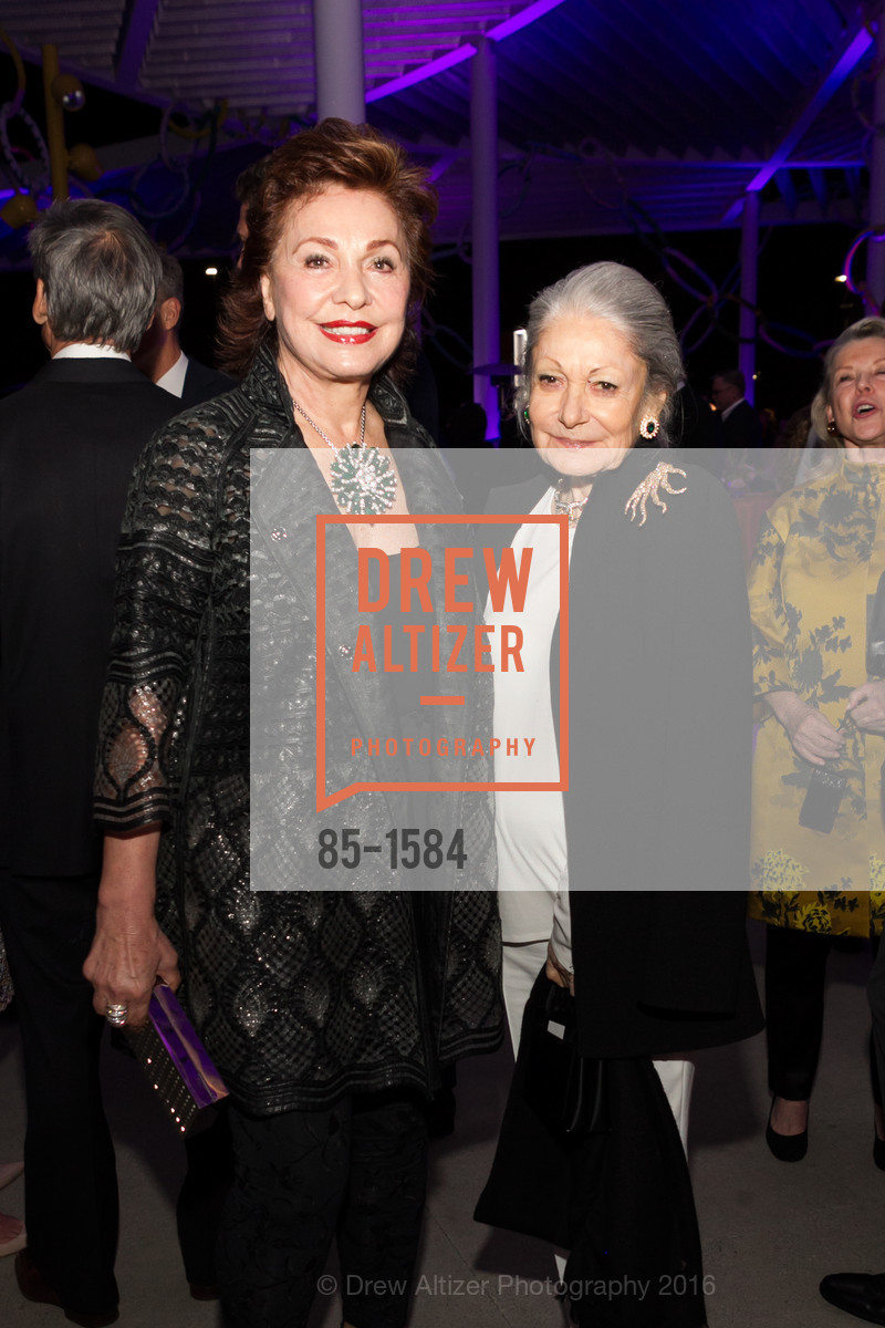 Maria Manetti Shrem, Denise Hale, Director's Debut, Manetti Shrem Museum of Art. Old Davis Road at Alumni Lane, November 12th, 2016