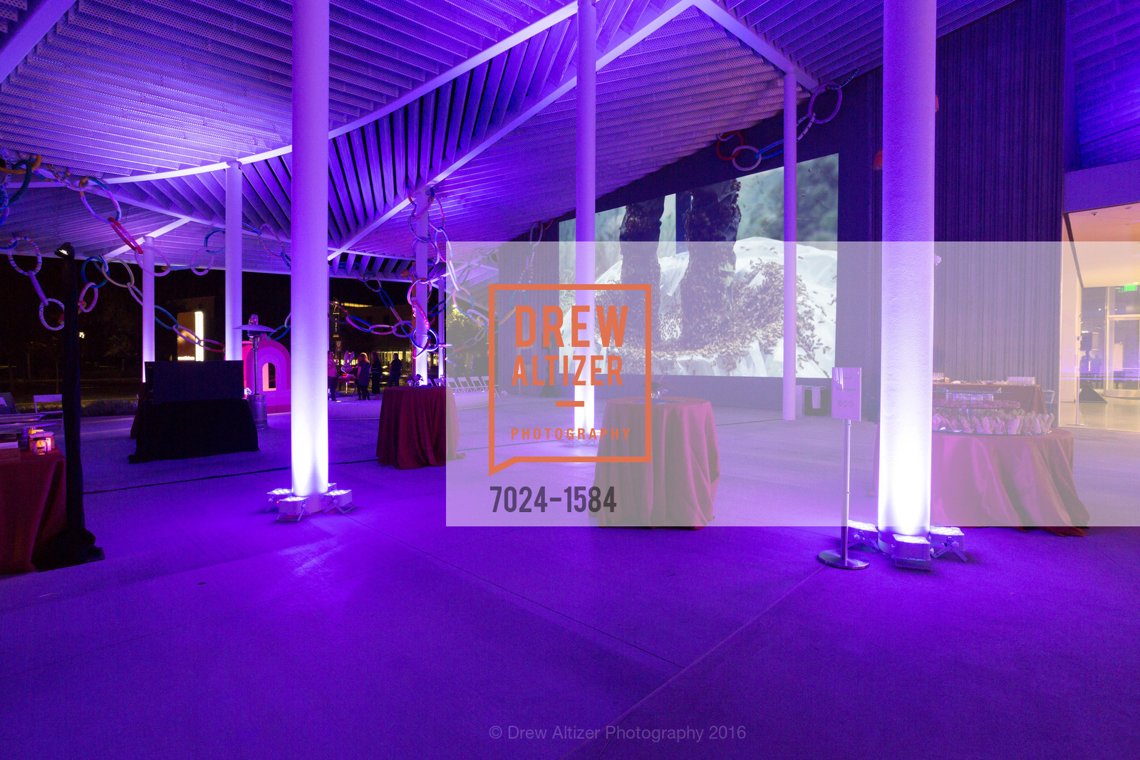 Atmosphere, Director's Debut, Manetti Shrem Museum of Art. Old Davis Road at Alumni Lane, November 12th, 2016, Photo #7024-1584 Atmosphere, Photo #7024-1584