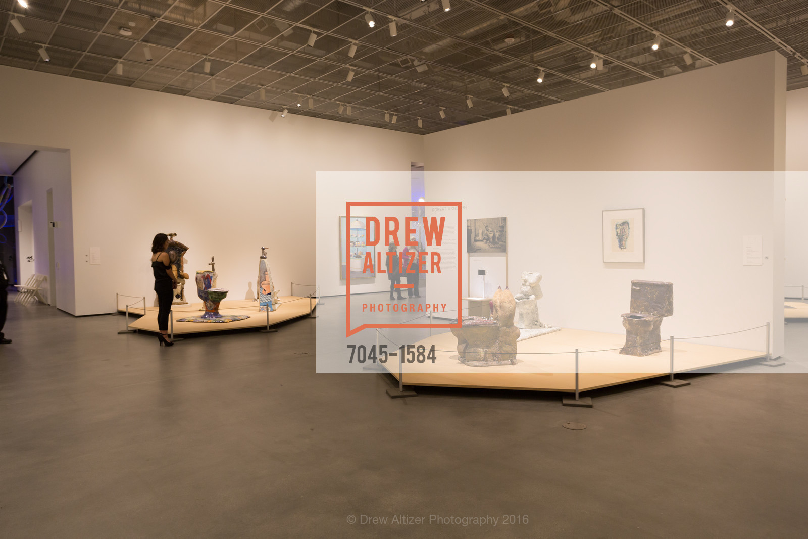 Atmosphere, Director's Debut, Manetti Shrem Museum of Art. Old Davis Road at Alumni Lane, November 12th, 2016, Photo #7045-1584 Atmosphere, Photo #7045-1584