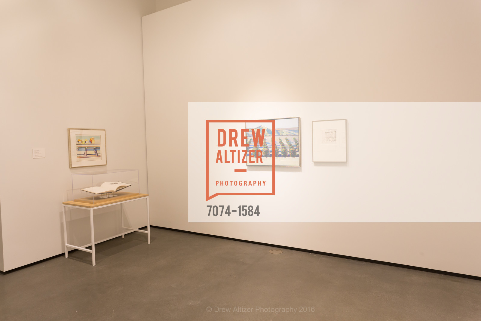 Atmosphere, Director's Debut, Manetti Shrem Museum of Art. Old Davis Road at Alumni Lane, November 12th, 2016, Photo #7074-1584 Atmosphere, Photo #7074-1584