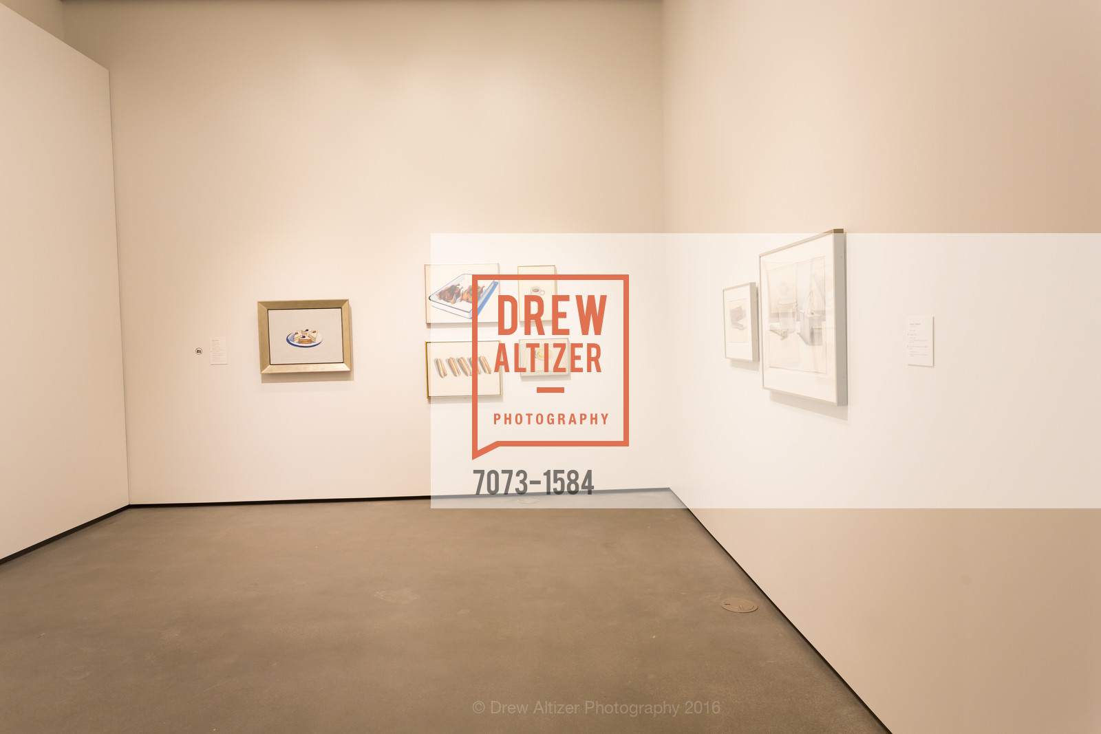 Atmosphere, Director's Debut, Manetti Shrem Museum of Art. Old Davis Road at Alumni Lane, November 12th, 2016, Photo #7073-1584 Atmosphere, Photo #7073-1584