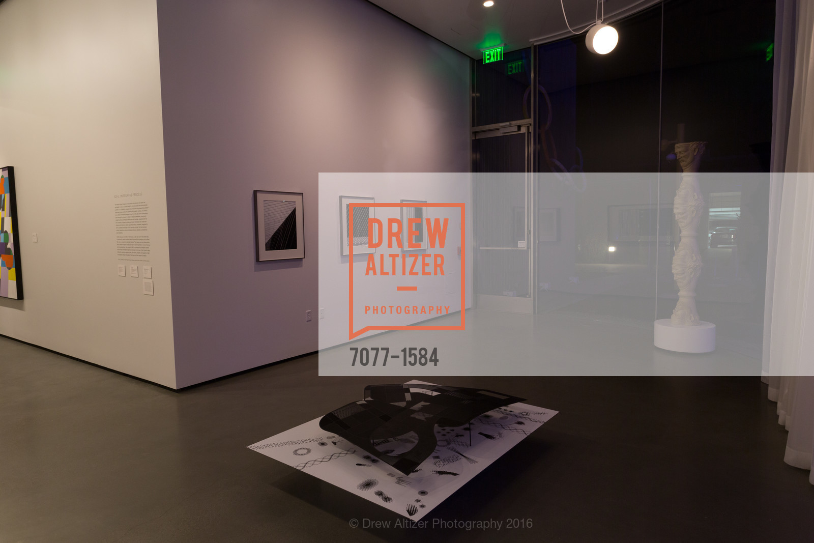 Atmosphere, Director's Debut, Manetti Shrem Museum of Art. Old Davis Road at Alumni Lane, November 12th, 2016, Photo #7077-1584 Atmosphere, Photo #7077-1584
