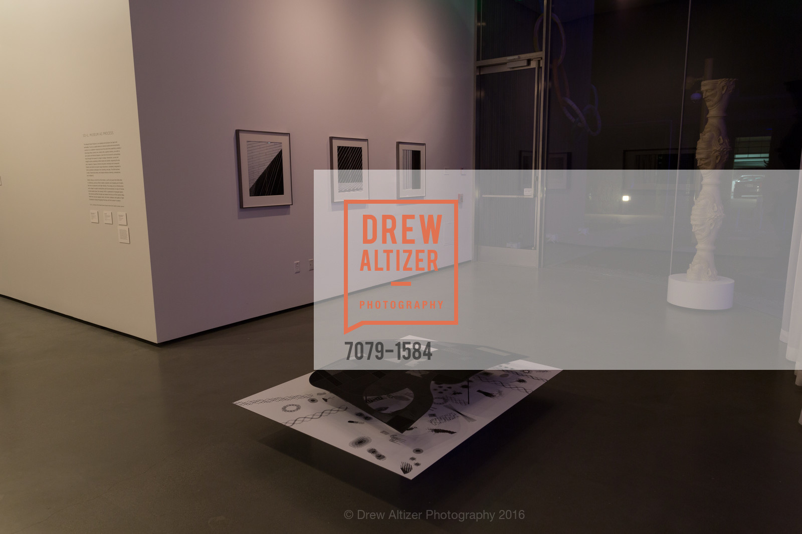 Atmosphere, Director's Debut, Manetti Shrem Museum of Art. Old Davis Road at Alumni Lane, November 12th, 2016, Photo #7079-1584 Atmosphere, Photo #7079-1584