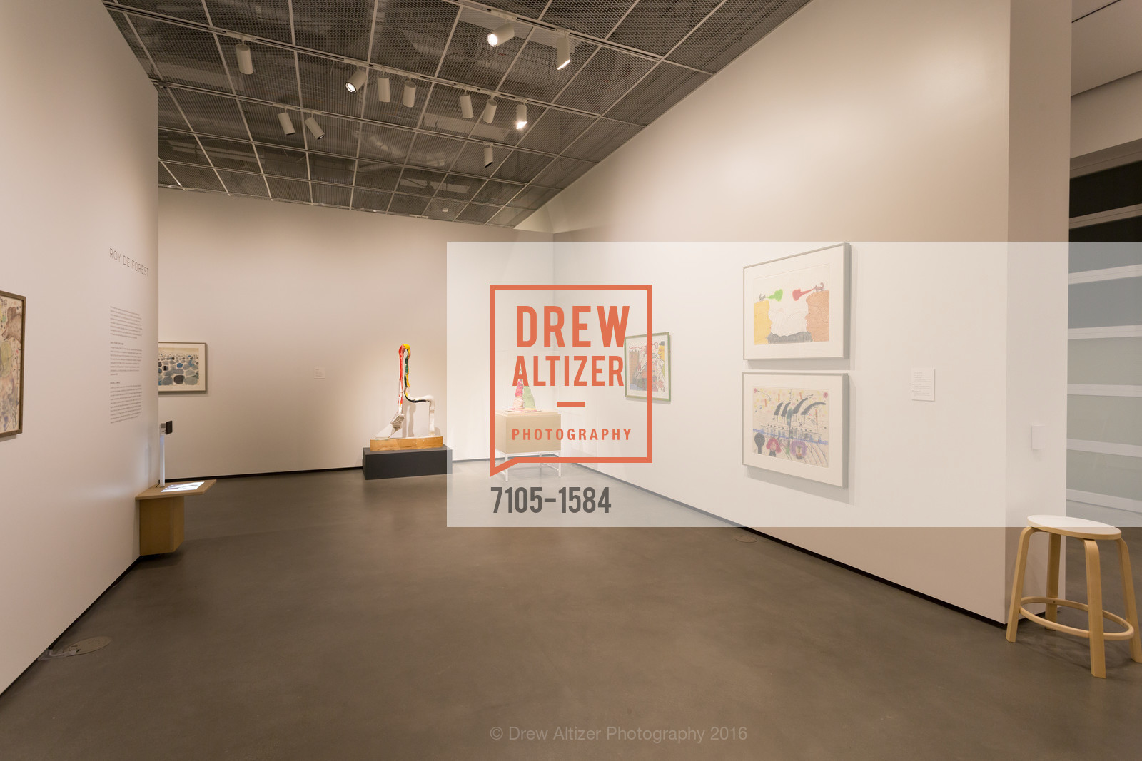 Atmosphere, Director's Debut, Manetti Shrem Museum of Art. Old Davis Road at Alumni Lane, November 12th, 2016, Photo #7105-1584 Atmosphere, Photo #7105-1584