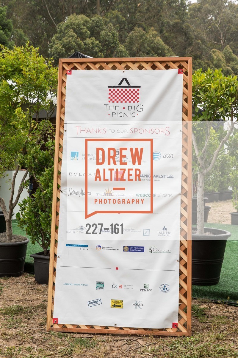 Atmosphere, THE BIG PICNIC Kicking off 2015 Stern Grove Season, Stern Grove. 2750 19th Avenue, June 14th, 2015,Drew Altizer, Drew Altizer Photography, full-service agency, private events, San Francisco photographer, photographer california