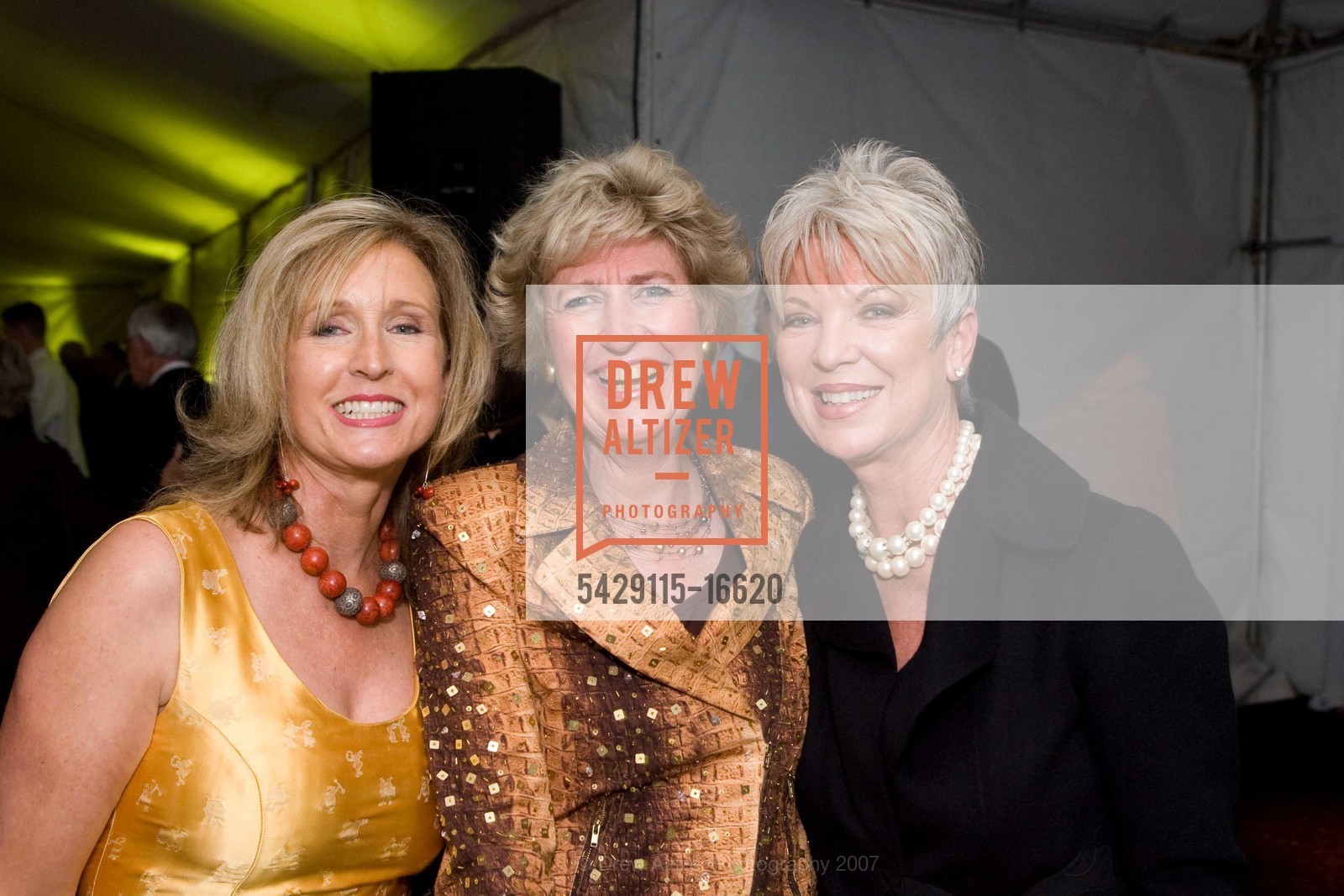 Lisa Quigley, Annie Benton, Judy Hinkle, St. Anthony Foundation SERVING HOPE Gala 2007, Pioneer Monument. 147 Fulton St, San Francisco, CA 94102, October 4th, 2007, Photo #5429115-16620 Lisa Quigley, Annie Benton, Judy Hinkle, Photo #5429115-16620