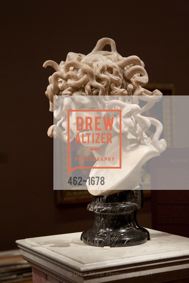 Atmosphere, Bernini's Medusa Opening Party at DE YOUNG MUSEUM, US, November 15th, 2011, Photo #462-1678 Atmosphere, Photo #462-1678