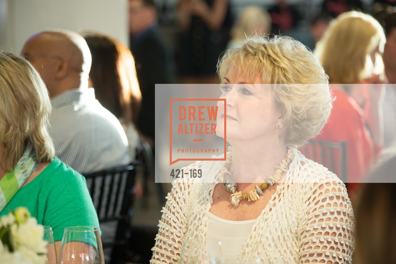 Extras, Silicon Valley Wine Auction Benefiting Silicon Valley Education Foundation, June 19th, 2015, Photo,Drew Altizer, Drew Altizer Photography, full-service agency, private events, San Francisco photographer, photographer california