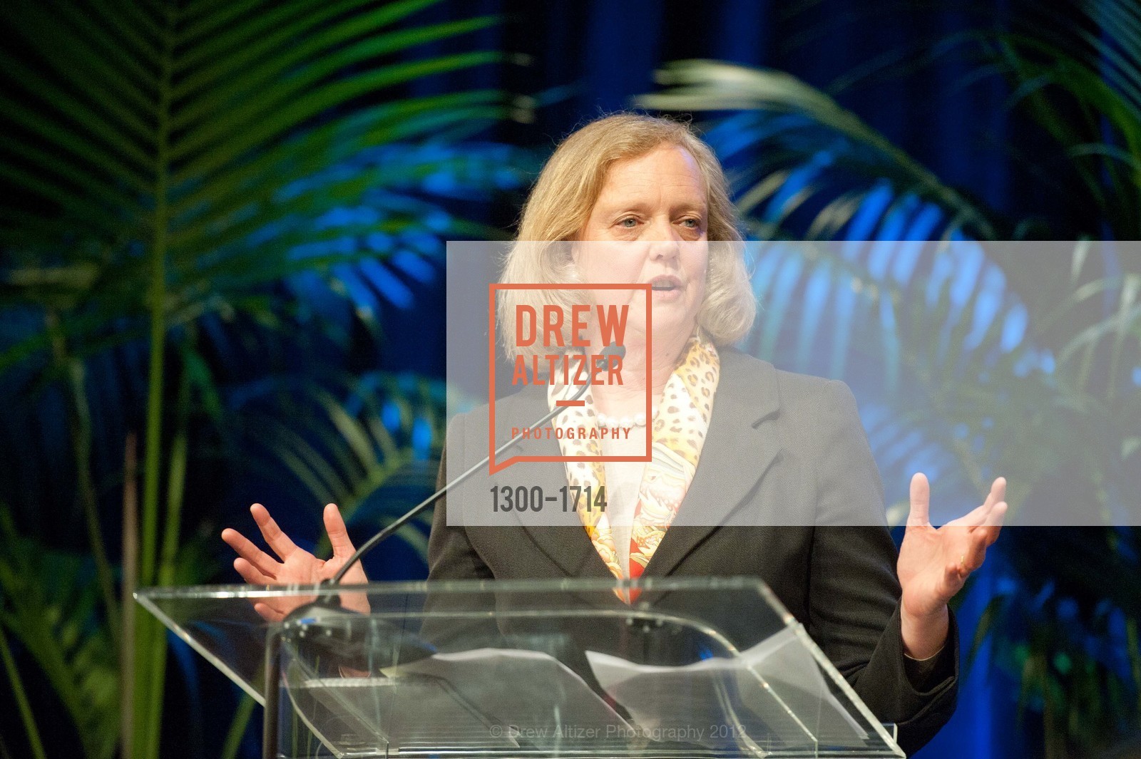 Meg Whitman, TEACH FOR AMERICA 2012 Bay Area Benefit Dinner, US, March 20th, 2012, Photo #1300-1714 Meg Whitman, Photo #1300-1714