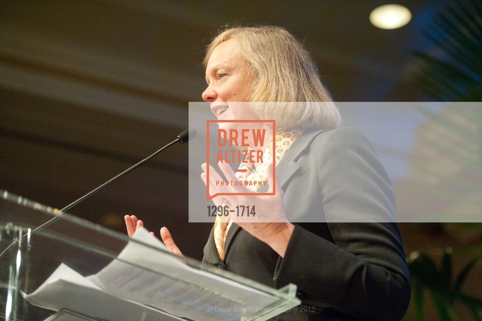 Meg Whitman, TEACH FOR AMERICA 2012 Bay Area Benefit Dinner, US, March 20th, 2012, Photo #1296-1714 Meg Whitman, Photo #1296-1714