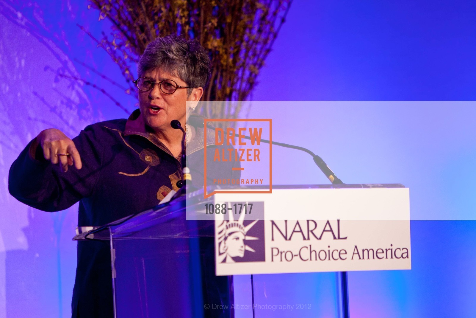 Nancy Keenan, NARAL: San Francisco Power of Choice Luncheon, US, March 21st, 2012, Photo #1088-1717 Nancy Keenan, Photo #1088-1717