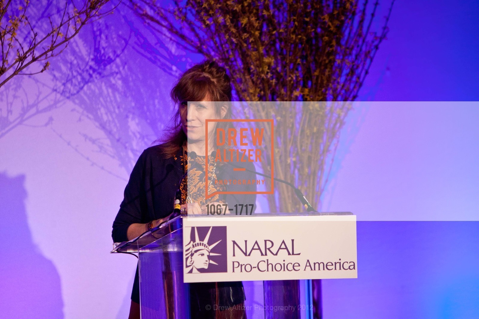 Lizz Winstead, NARAL: San Francisco Power of Choice Luncheon, US, March 21st, 2012, Photo #1067-1717 Lizz Winstead, Photo #1067-1717