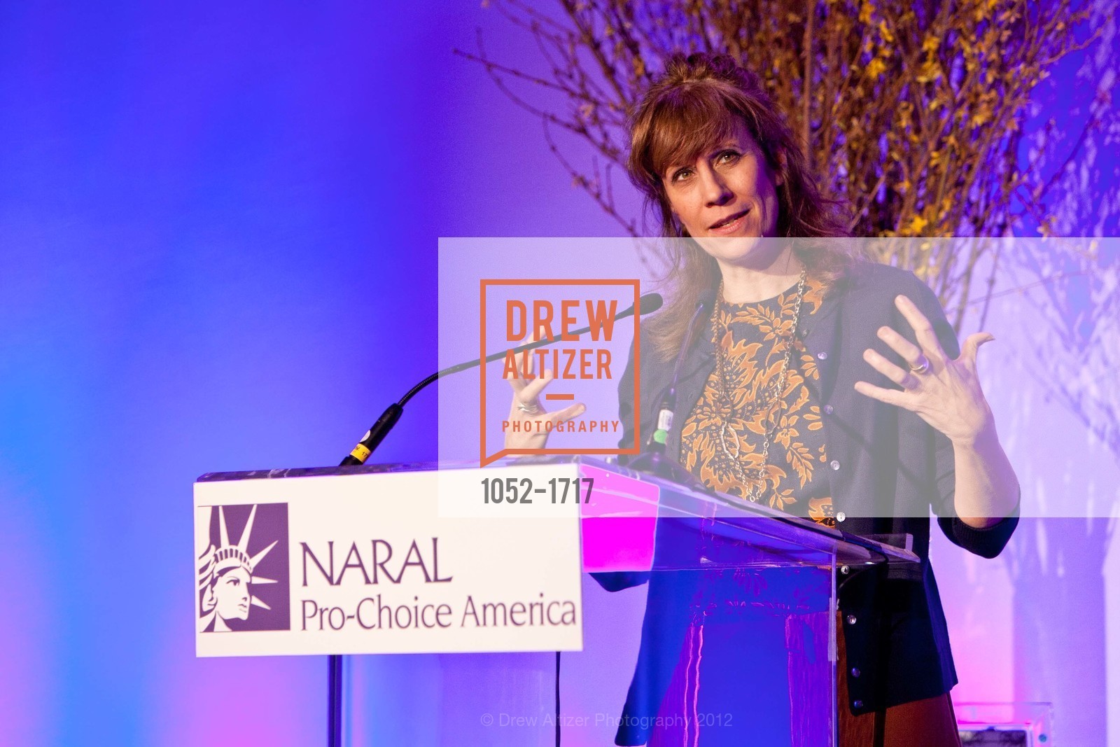 Lizz Winstead, NARAL: San Francisco Power of Choice Luncheon, US, March 21st, 2012, Photo #1052-1717 Lizz Winstead, Photo #1052-1717