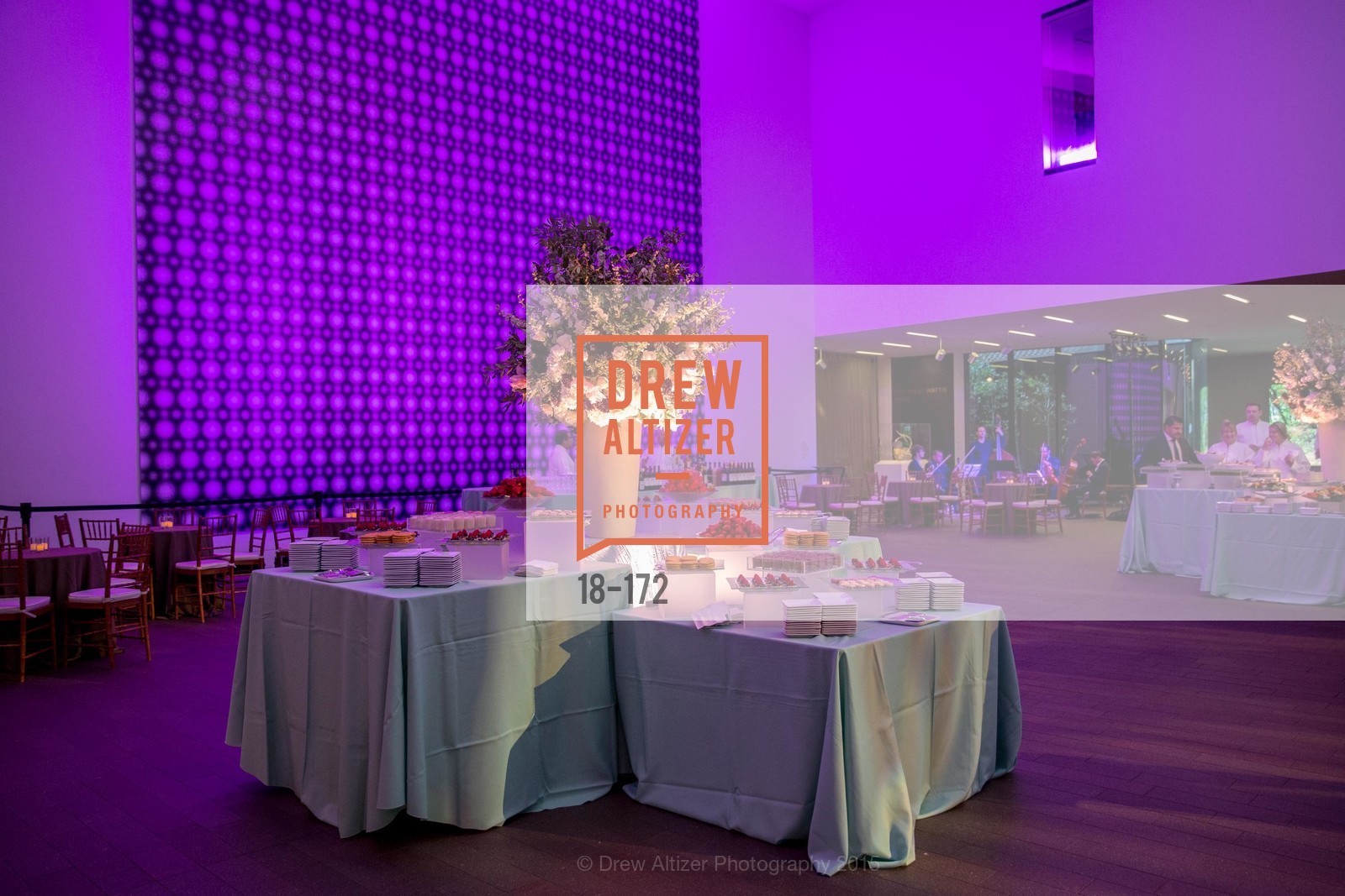 Atmosphere, J.M.W. Turner: Painting Set Free opening reception, de Young Museum, June 17th, 2015,Drew Altizer, Drew Altizer Photography, full-service agency, private events, San Francisco photographer, photographer california