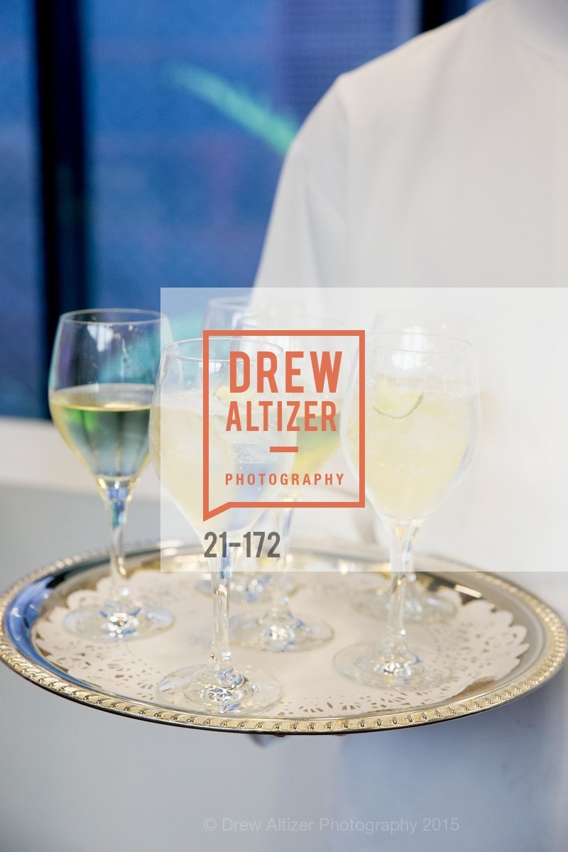 Atmosphere, J.M.W. Turner: Painting Set Free opening reception, de Young Museum, June 17th, 2015,Drew Altizer, Drew Altizer Photography, full-service agency, private events, San Francisco photographer, photographer california