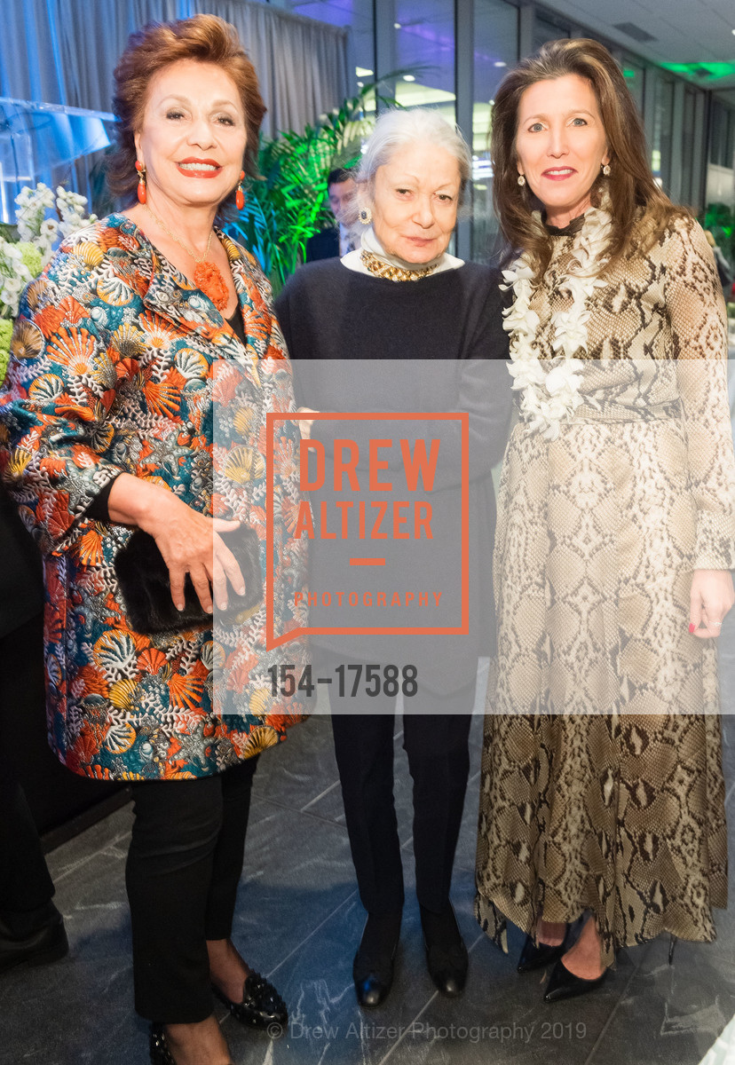 Maria Manetti Shrem, Denise Hale, Slaon Barnett, CPMC Women's and Children's Luncheon Opening event, CPMC Hospital. Van Ness and Geary, January 16th, 2019, Photo #154-17588 Maria Manetti Shrem, Denise Hale, Slaon Barnett, Photo #154-17588