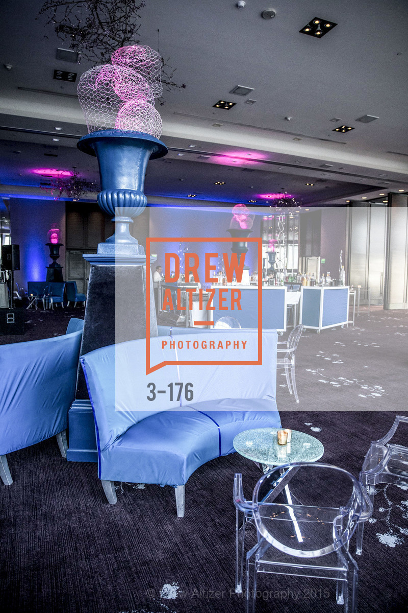 Atmosphere, VIP Pride Celebration 2015, St. Regis, June 18th, 2015,Drew Altizer, Drew Altizer Photography, full-service agency, private events, San Francisco photographer, photographer california
