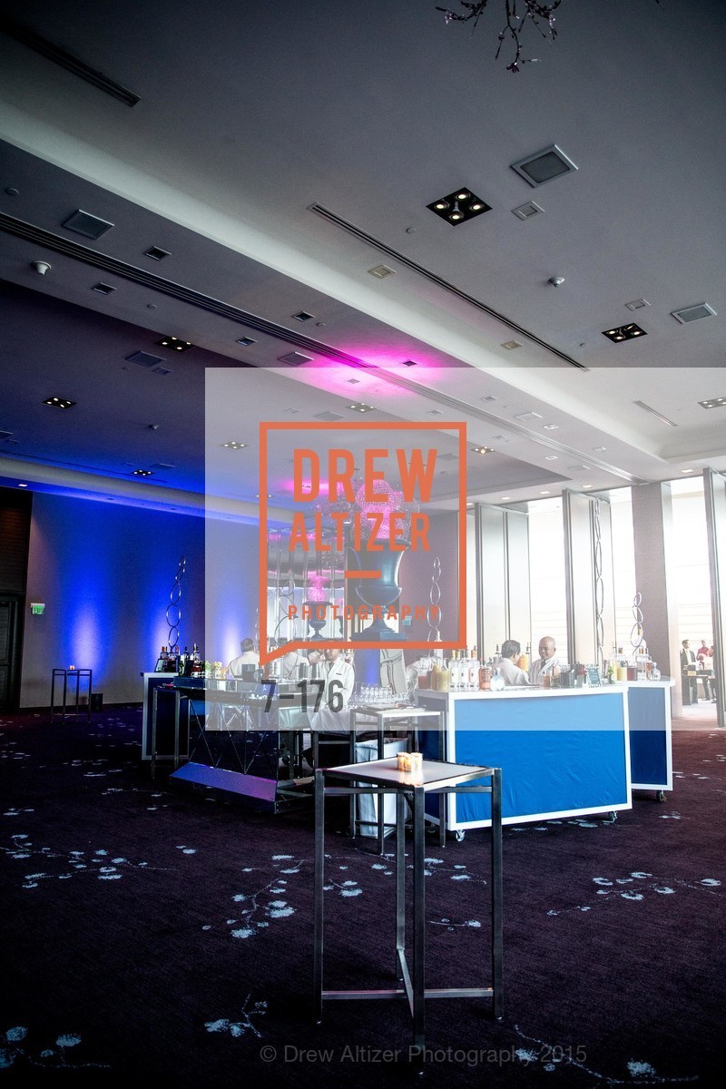Atmosphere, VIP Pride Celebration 2015, St. Regis, June 18th, 2015,Drew Altizer, Drew Altizer Photography, full-service agency, private events, San Francisco photographer, photographer california