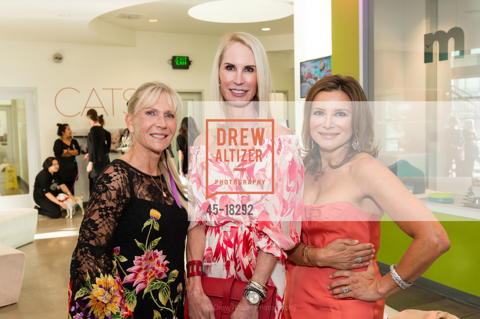 Diane Adams, Krista Giovara, Claudia Ross, SF SPCA Gala 2019- Metamorphisis, 201 Alabama St. 201 Alabama St, Photo #45-18292 Diane Adams, Krista Giovara, Claudia Ross, Photo #45-18292
